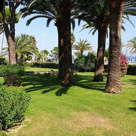 Garden And Sea View